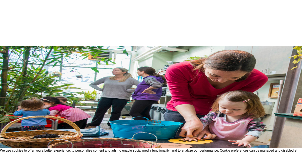 Screenshot of Brookfield Zoo Chicago for Families