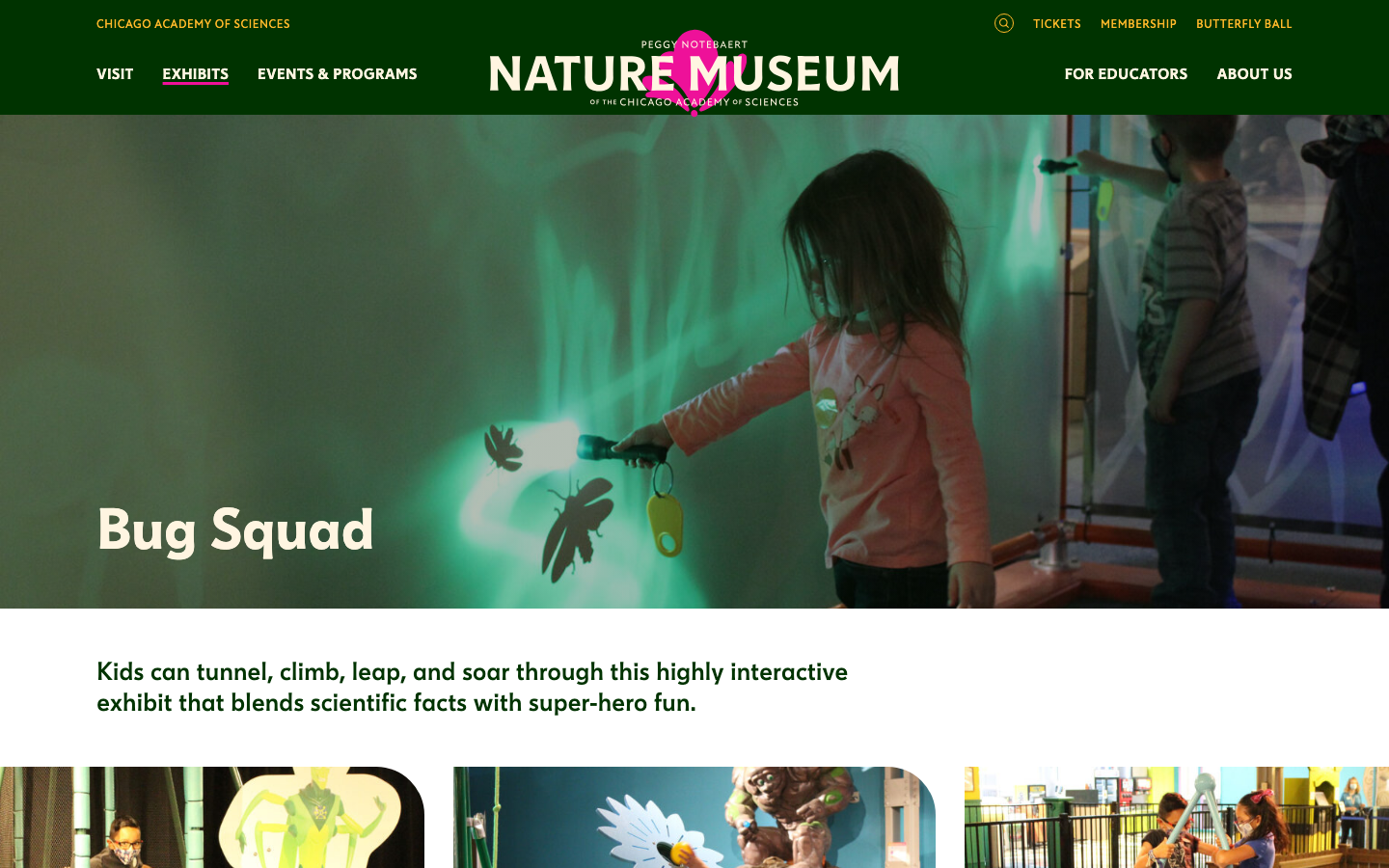 Screenshot of Bug Squad