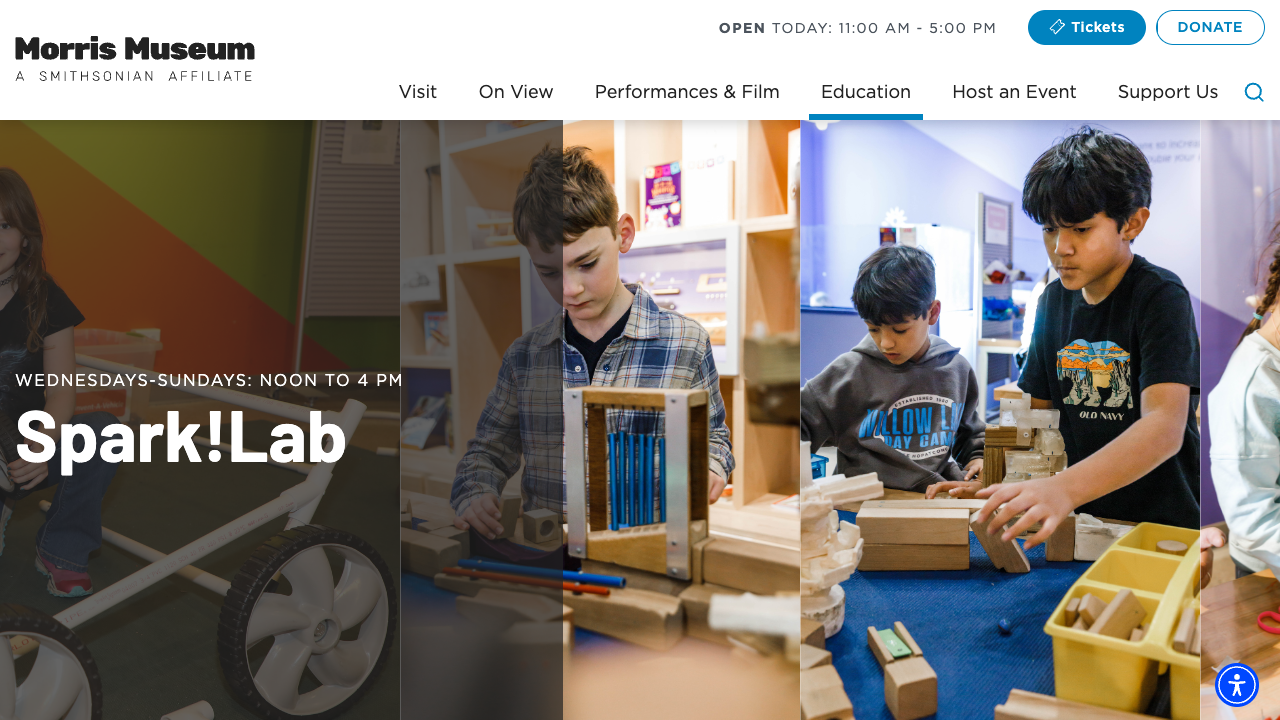Screenshot of Morris Museum Spark!Lab