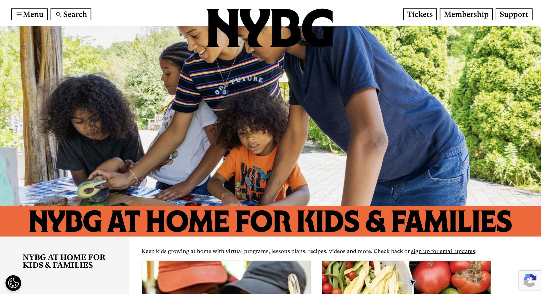 Screenshot of NYBG At Home for Kids & Families