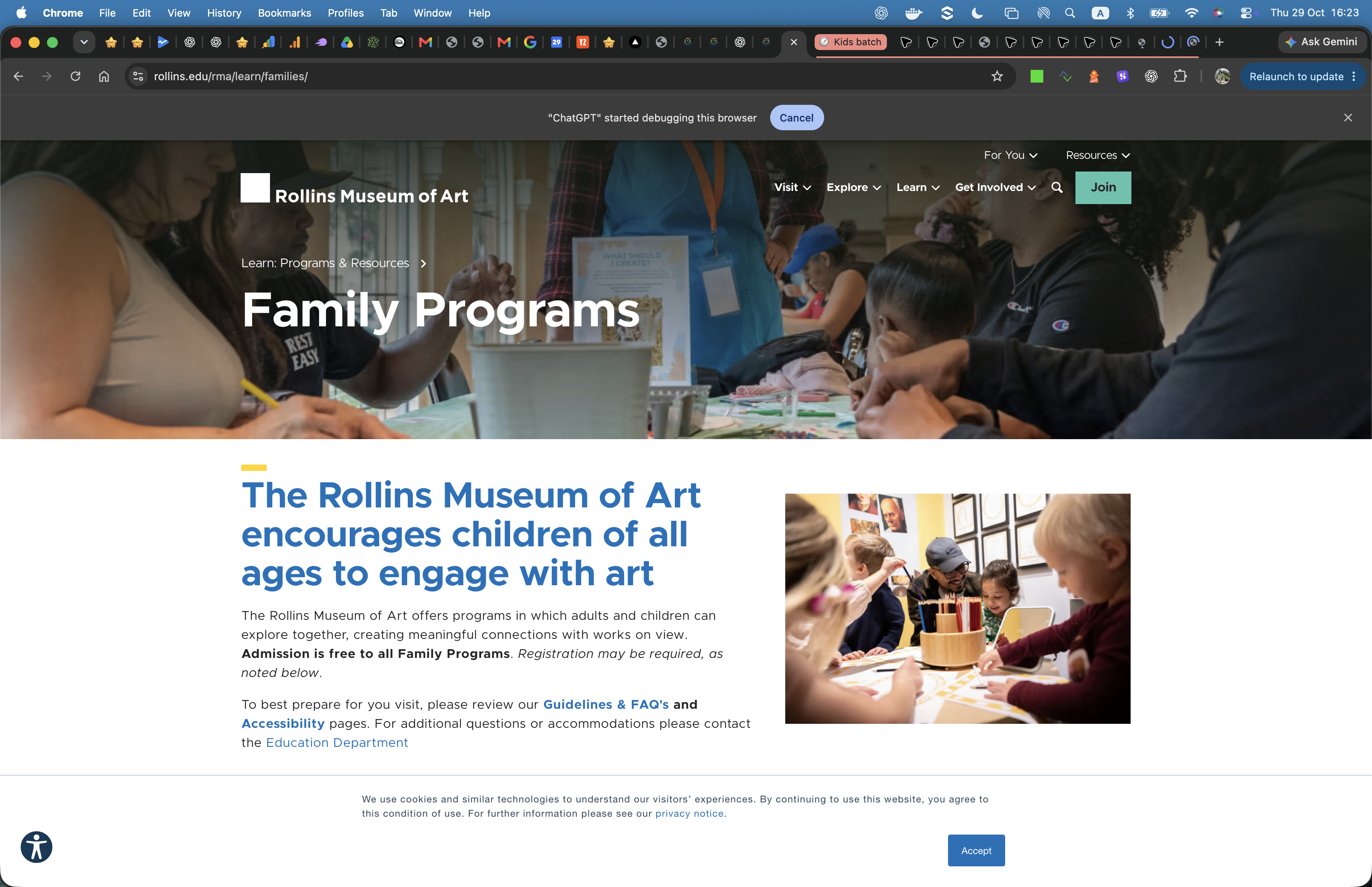 Screenshot of Rollins Museum of Art Family Programs