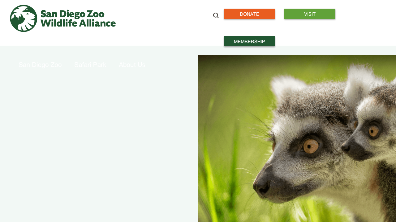 Screenshot of San Diego Zoo Wildlife Alliance Education Resources